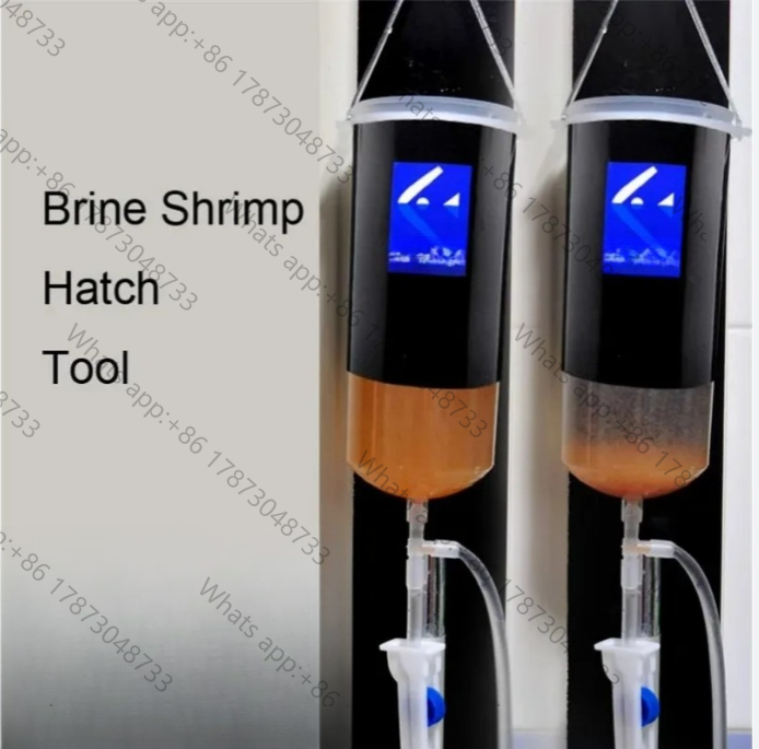 Fairy shrimp egg artemia alive - Baby Food Egg ulasan dan harga