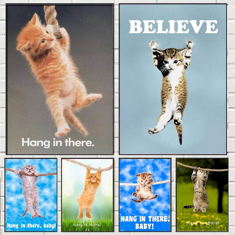 Hang In There Baby Cute Cat Yo - Baby Food Oil ulasan dan harga